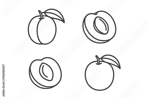 Illustrations of plums in different perspectives showcasing their natural form and texture