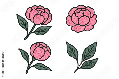 Vibrant pink peony flowers with green leaves in a decorative botanical illustration style