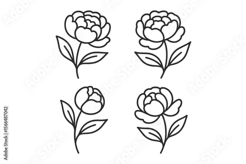 Four simple peony flower outlines in black and white, arranged symmetrically, ideal for botanical illustration or minimalist design work