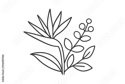 Beautiful line drawing of tropical flowers and leaves, showcasing natural elegance and organic forms, suitable for decor and design projects
