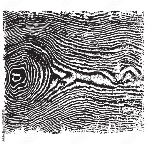 Close up of a black and white fingerprint with detailed ridges and unique pattern identification