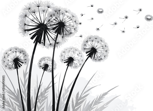 Create a kinds of deferent dandelion, flower, nature, seed, plant, summer, sky, wind, white, blue, green, spring, flowers, grass, fluffy vector art with white background.