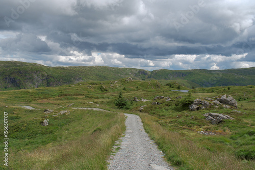 ChatGPT의 말:
Vidden trail in Bergen Norway rocky grass landscape, 노르웨이 베르겐 비든 트레일 바위와 초원 풍경