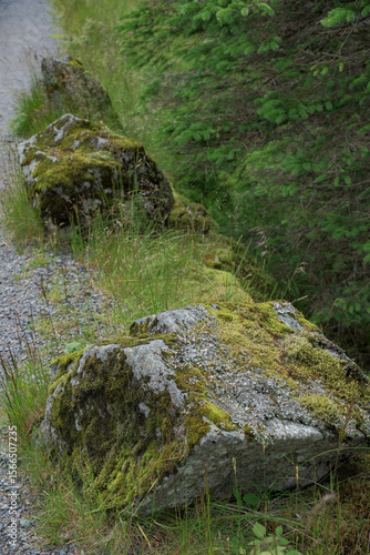 ChatGPT의 말:
Vidden trail in Bergen Norway rocky grass landscape, 노르웨이 베르겐 비든 트레일 바위와 초원 풍경