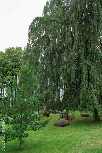 European cemetery landscape in Norway with lush greenery and gravestones, 유럽 노르웨이의 푸른 녹지와 묘비가 있는 평화로운 묘지 풍경