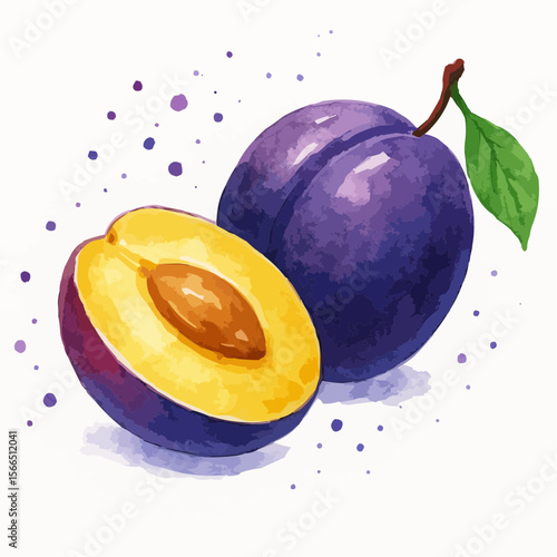 plum on white background