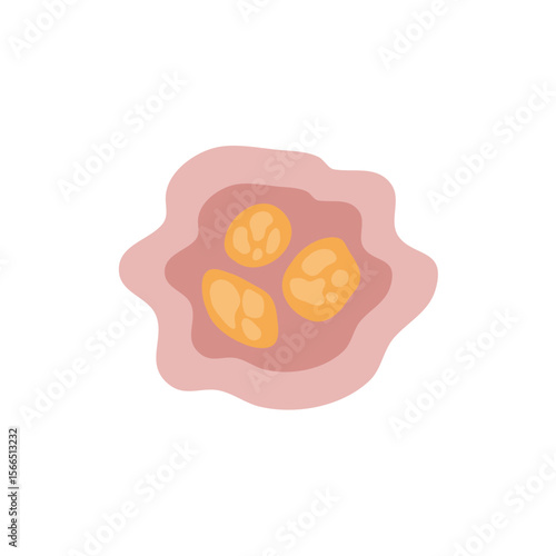 Human intestinal coccidia parasites vector illustration 
