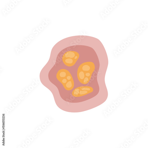 Human intestinal coccidia parasites vector illustration 