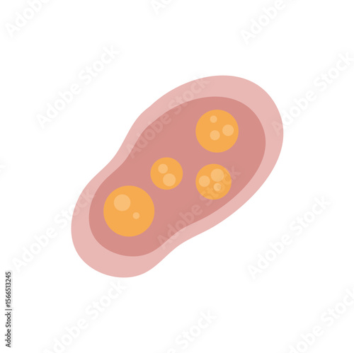 Human intestinal coccidia parasites vector illustration 