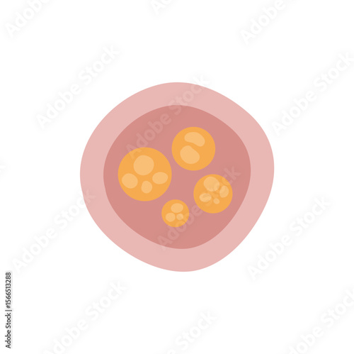 Human intestinal coccidia parasites vector illustration 