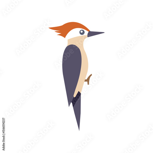 A Bird color Symbol Design