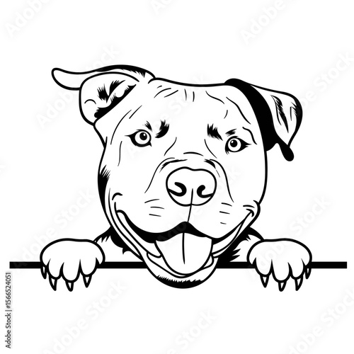 Pitbull