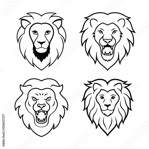 lion face in head.