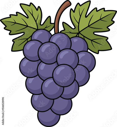 Cartoon illustration of a delicious purple grape bunch with vibrant green leaves and stem
