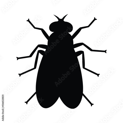A black silhouette of a house fly against a pure white background