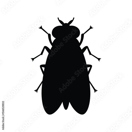 A black silhouette of a house fly against a pure white background