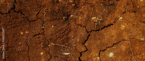 Long background, A close-up view of cracked red earth, symbolizing drought, dryness, and natural texture variations highlighting climate and environmental conditions.