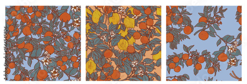 Citrus trees victorian morris style wallpaper. Provence orchard pattern set of three illustrations. Luxurious sunny fruit print