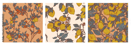 Citrus garden. Lemon and orange trees. Three illustrations pattern set. Summer botanical fruit collection for textiles in Provence Mediterranean style. Fruiting wallpaper