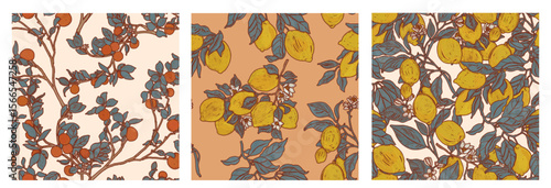 Citrus garden. Lemon and orange trees. Three illustrations pattern set. Summer botanical fruit collection for textiles in Provence Mediterranean style. Fruiting wallpaper