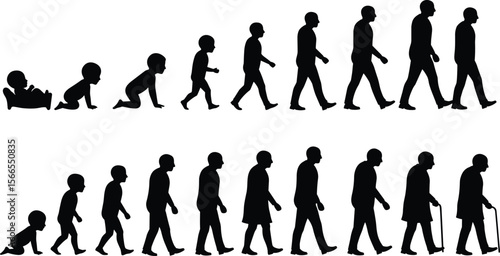 Human Life Cycle Stages, Silhouettes Depicting Growth and Aging from Infancy to Old Age, Illustrating the Full Progression of Development and Passing Time.