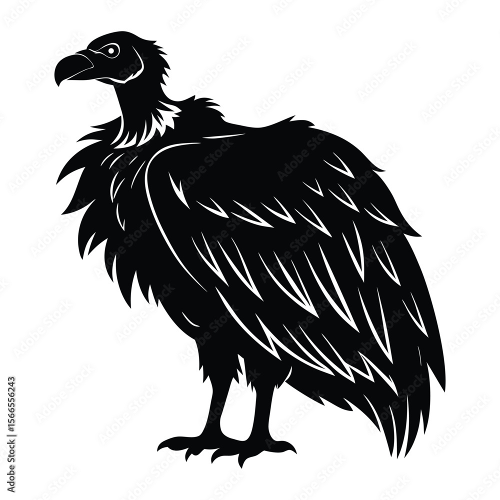 Obraz premium vulture silhouette vector on white background.