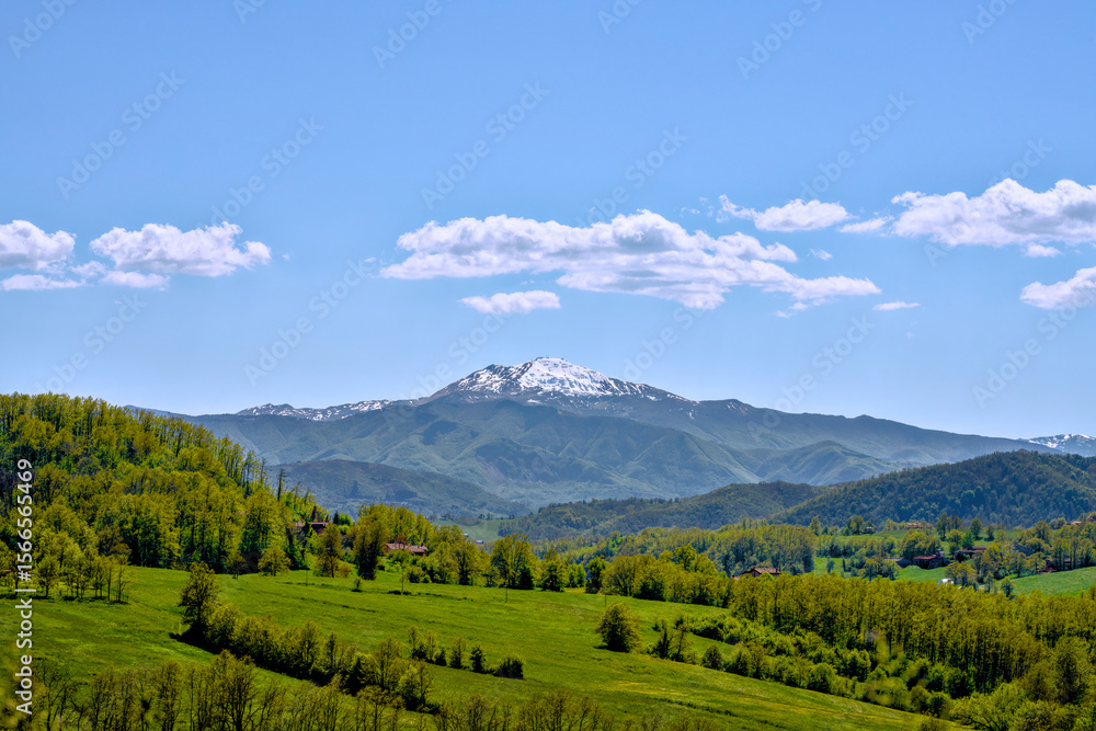 A snowcovered mountain is surrounded by lush trees and grass A snowcovered mountain is surrounded by lush trees and grass