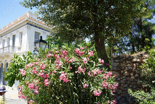 Vibrant flowers bloom beside historic architecture under the bright sunlight in a charming Mediterranean village
