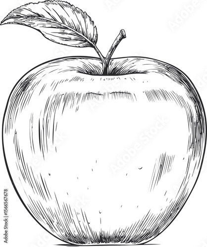 Detailed black and white sketch of an apple with a single leaf
