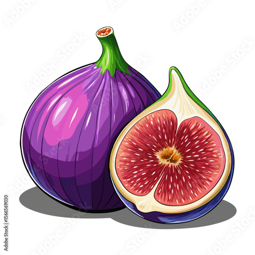 Fresh Ripe Fig Fruit Vector PNG - Whole and Half Cut Isolated Illustration