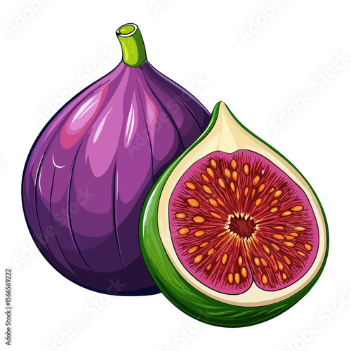 Fresh Ripe Fig Fruit Vector PNG - Whole and Half Cut Isolated Illustration
