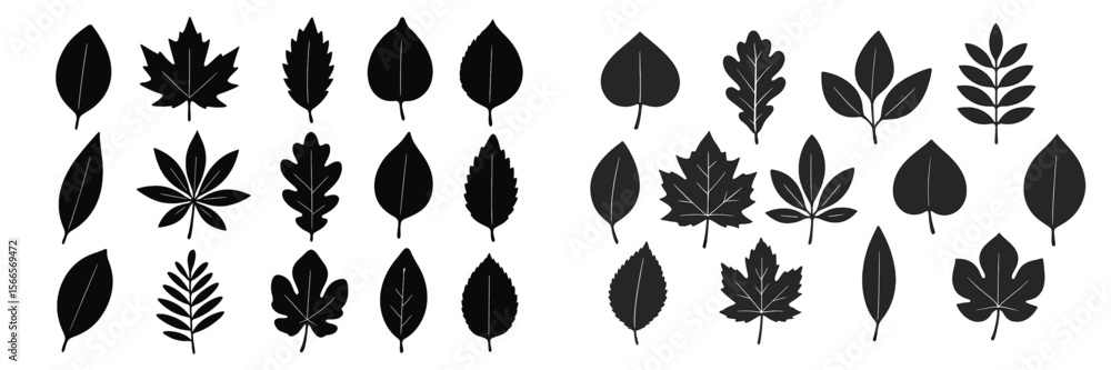 Various black silhouettes of leaves showcasing diverse shapes and sizes, suitable for design and nature themes Various black silhouettes of leaves showcasing diverse shapes and sizes, suitable for design and nature themes