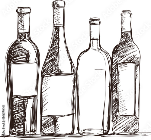 Illustration of four wine bottles in sketch style with detailed line art