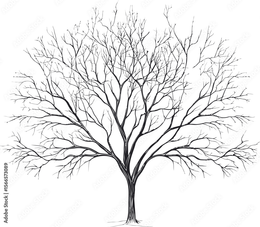 Fototapeta premium Intricate sketch of a bare tree with detailed branches