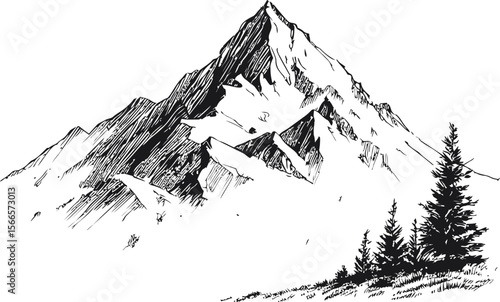Majestic snowy mountain with intricate pine trees in black and white sketch