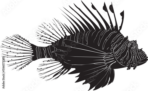 Silhouette of a lionfish with intricate fin details, black and white sketch