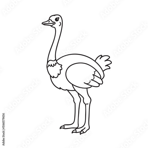 Ostrich Oasis: A Wild Coloring Journey