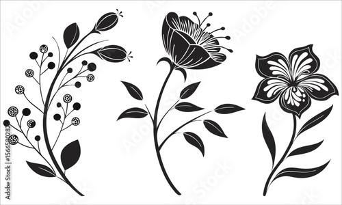 Floral botanical silhouettes black and white nature