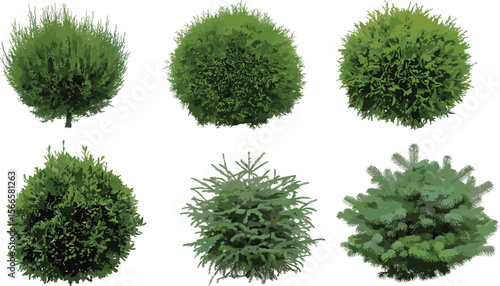 Realistic green bush set, topiary shrubs illustration, evergreen garden plants, landscaping foliage collection, isolated round bushes, nature elements, vector clipart flat vector illustration
