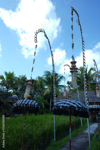 swinging penjor in balinese culture represent Balinese Raya