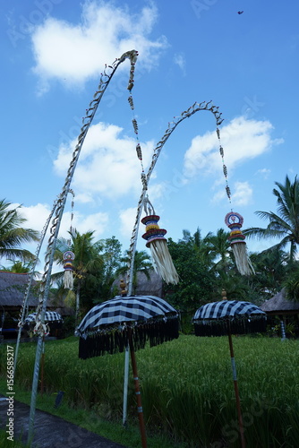 swinging penjor in balinese culture represent Balinese Raya