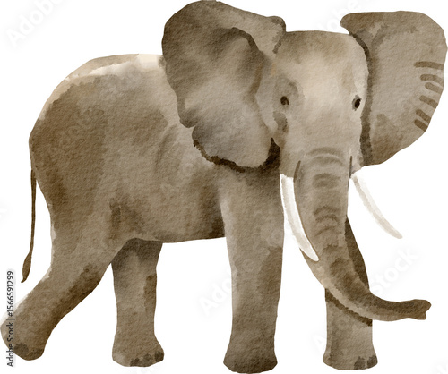 Canvas Print watercolor elephant