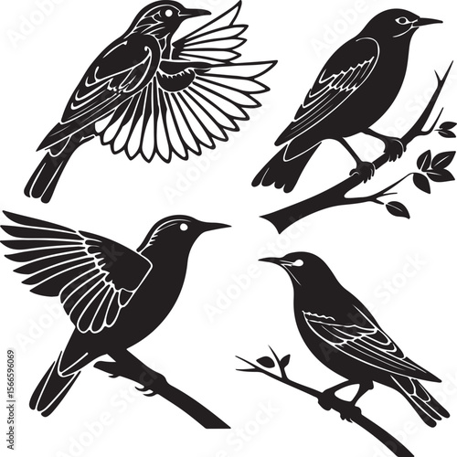 Bird Silhouette Vector Icon Design – Flying Animal Outline Graphic for Nature and Wildlife Themes