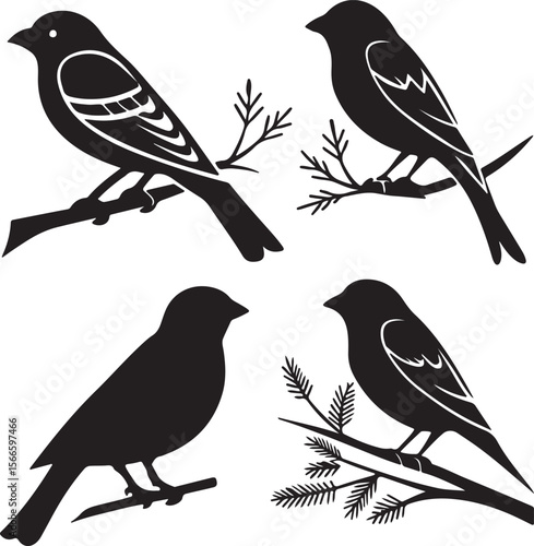 Bird Silhouette Vector Icon Design – Flying Animal Outline Graphic for Nature and Wildlife Themes