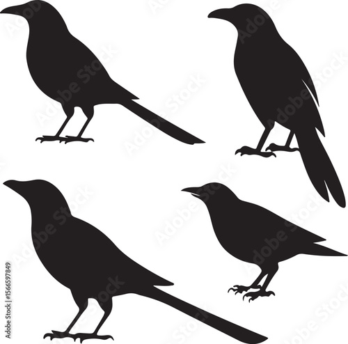 Bird Silhouette Vector Icon Design – Flying Animal Outline Graphic for Nature and Wildlife Themes
