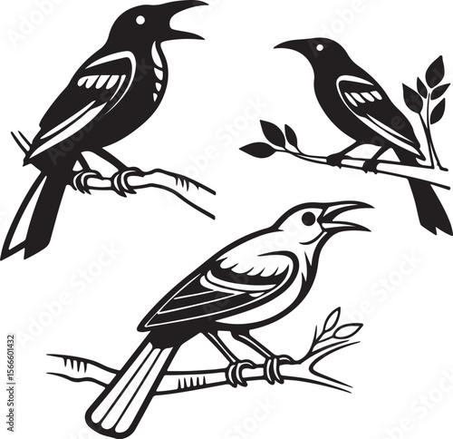 Bird Silhouette Vector Icon Design – Flying Animal Outline Graphic for Nature and Wildlife Themes