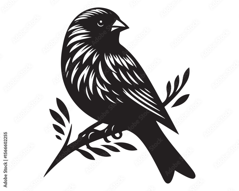 Obraz premium Finch 6.eps