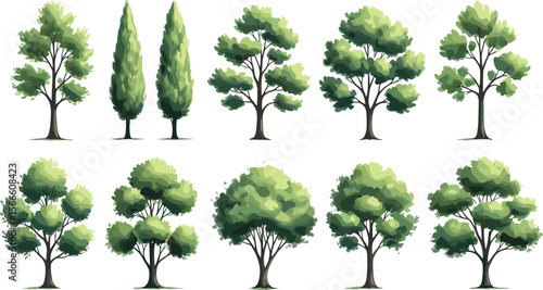 Assorted Green Deciduous and Coniferous Trees for Architectural Renderings, Landscape Planning, Environmental Concepts, and Nature-themed Graphic Design