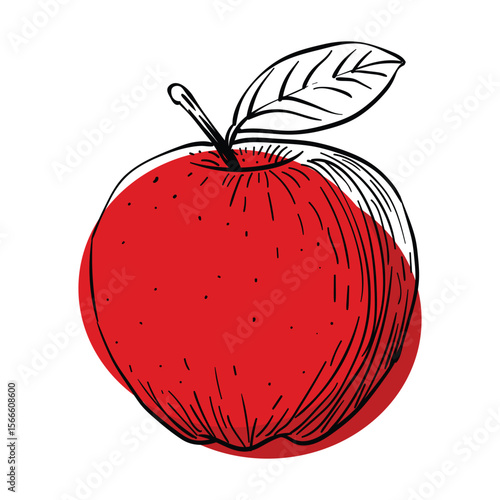 Ripe red apple fruit hand drawn illustration logo icon, organic fresh food just harvested