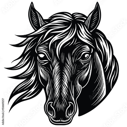 Detailed horse head illustration